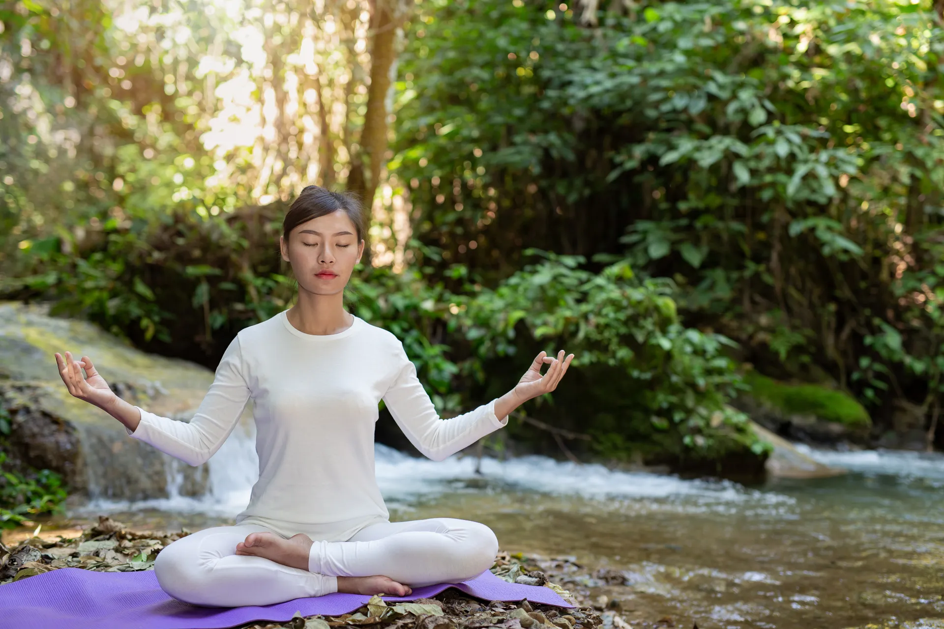The Ultimate Guide to Naturopathy and Natural Healing